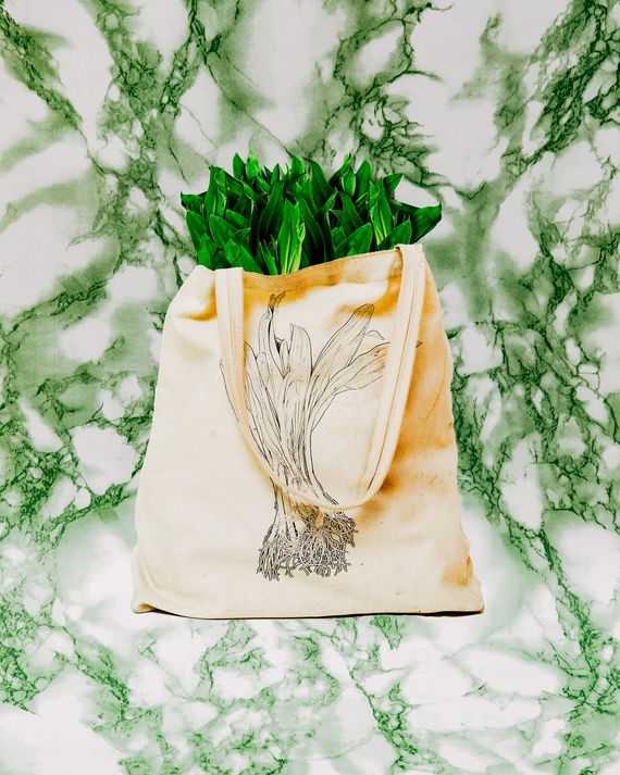 A tote bag full of ramps, with a picture of ramps on it, against pale green marble background