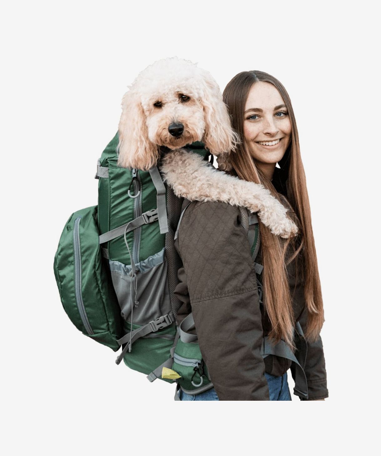 Good2go dog cheap backpack