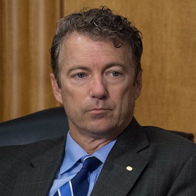 US Republican Senator from Kentucky Rand Paul looks on during a Senate Foreign Relations Committee hearing on the situation in Ukraine on Capitol Hill in Washington on May 6, 2014. AFP PHOTO/Nicholas KAMM (Photo credit should read NICHOLAS KAMM/AFP/Getty Images)