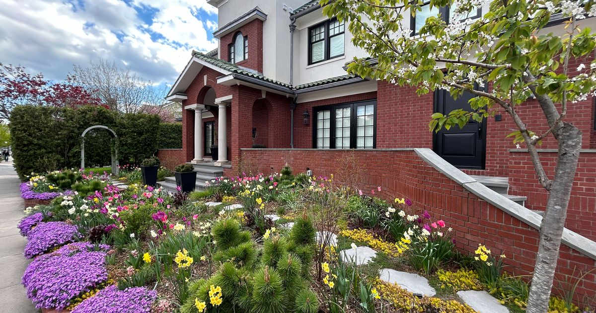 Tour a 'Radically Different' Front Garden in Midwood - Vimarsana News