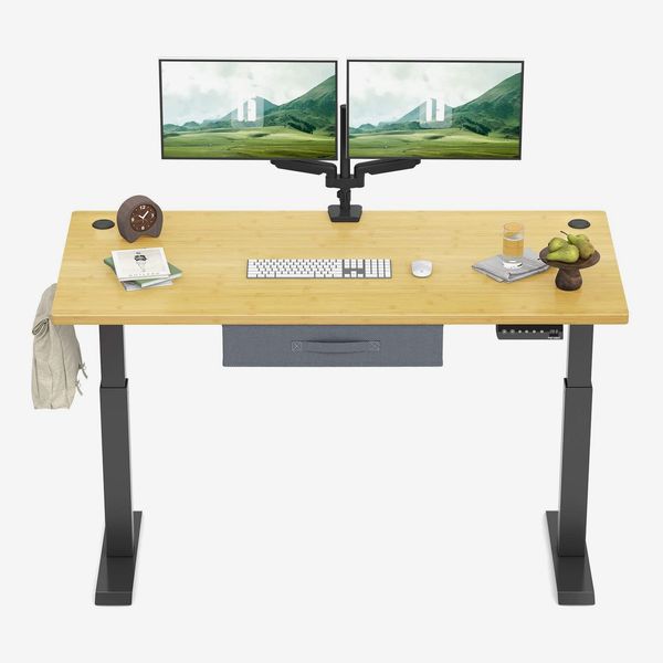 FEZIBO Electric Height Adjustable Standing Desk