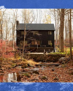 Curbed | A site for city people