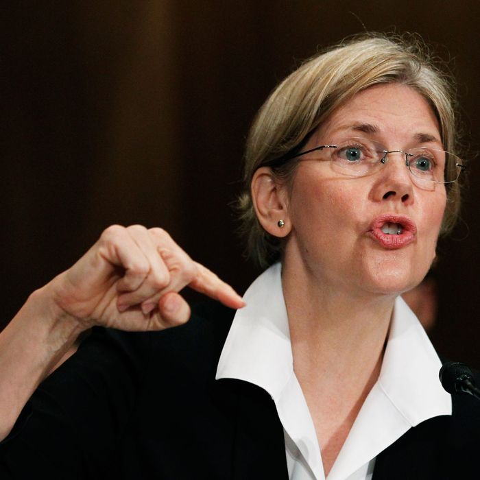 Elizabeth Warren, head of the Congressional Oversight Panel testifies before a Senate Finance Committee hearing to examine the Troubled Asset Relief Program in Washington.