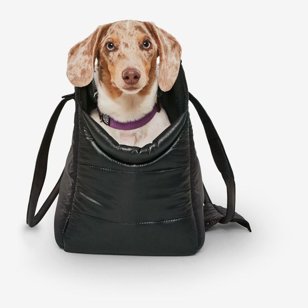 Just Fred Weekend Dog Tote