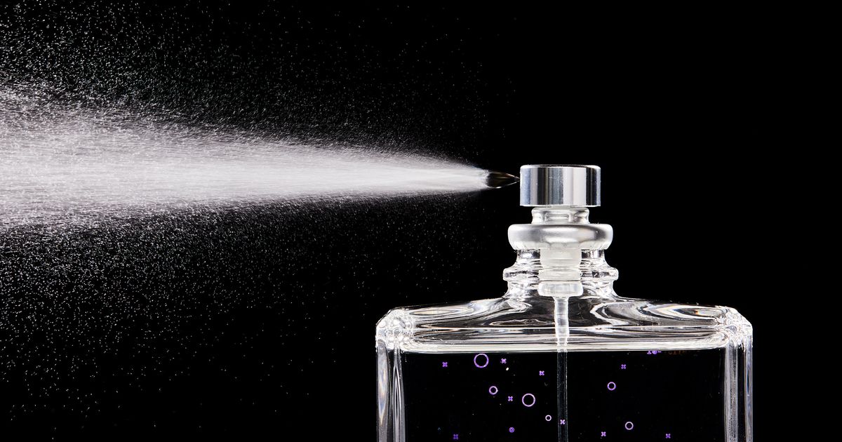 Smol Boy Lady Black Sex - The Best Perfumes 2023 | The Strategist