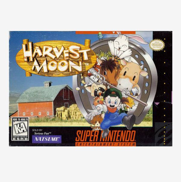 Nintendo Switch Harvest Moon: Light of Hope SE Complete