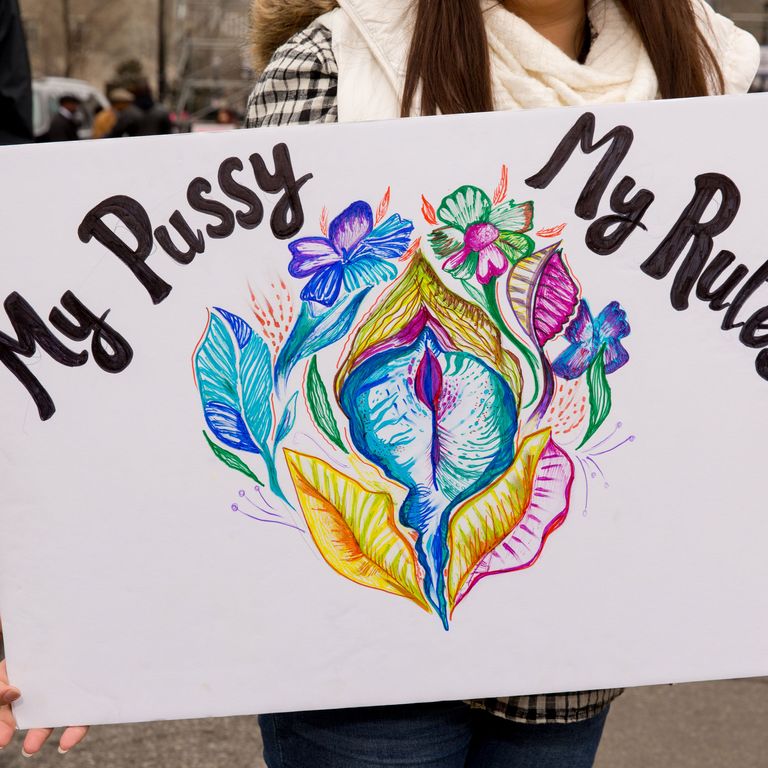 Photos: 46 Signs From the Women’s March on Washington