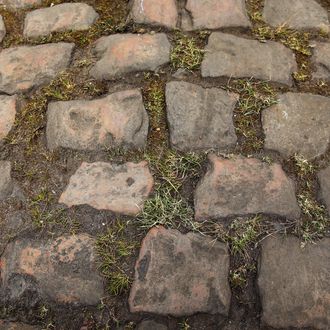 PARIS, FRANCE - APRIL 05: A general view of the cobbles in the Arenberg Forest during training for the 2013 Paris - Roubaix cycle race on April 5, 2013 in Wallers, France. (Photo by Bryn Lennon/Getty Images) Sunday's race is 254km long and contains 27 sections of cobblestones. (Photo by Bryn Lennon/Getty Images)