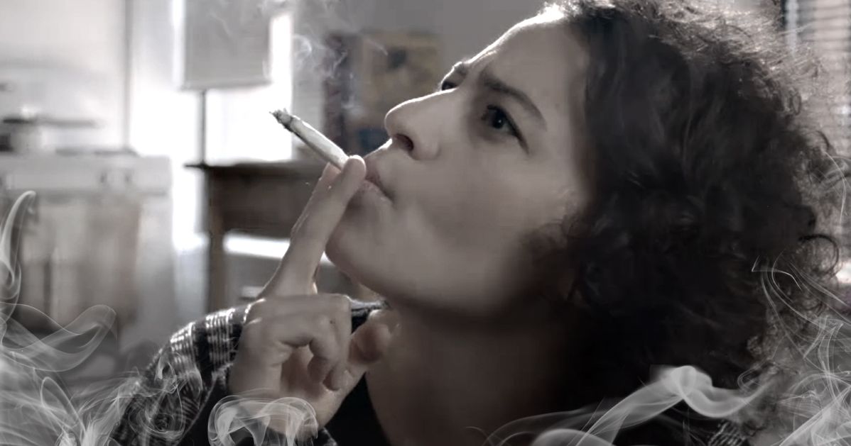 The Making of the Modern Stoner