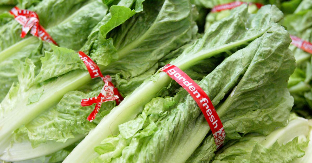 Another E. Coli Infection Outbreak Linked to Romaine Lettuce