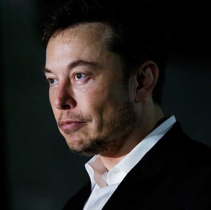 SEC Sues Elon Musk for Fraud