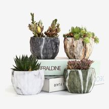 Sun-E Modern Style Marbling Ceramic Flower Pots, Set of 4