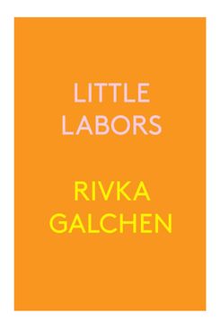 Little Labors by Rivka Galchen