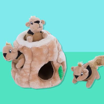 Outward Hound Hide a Squirrel Puzzle Dog-Toy Sale 2021