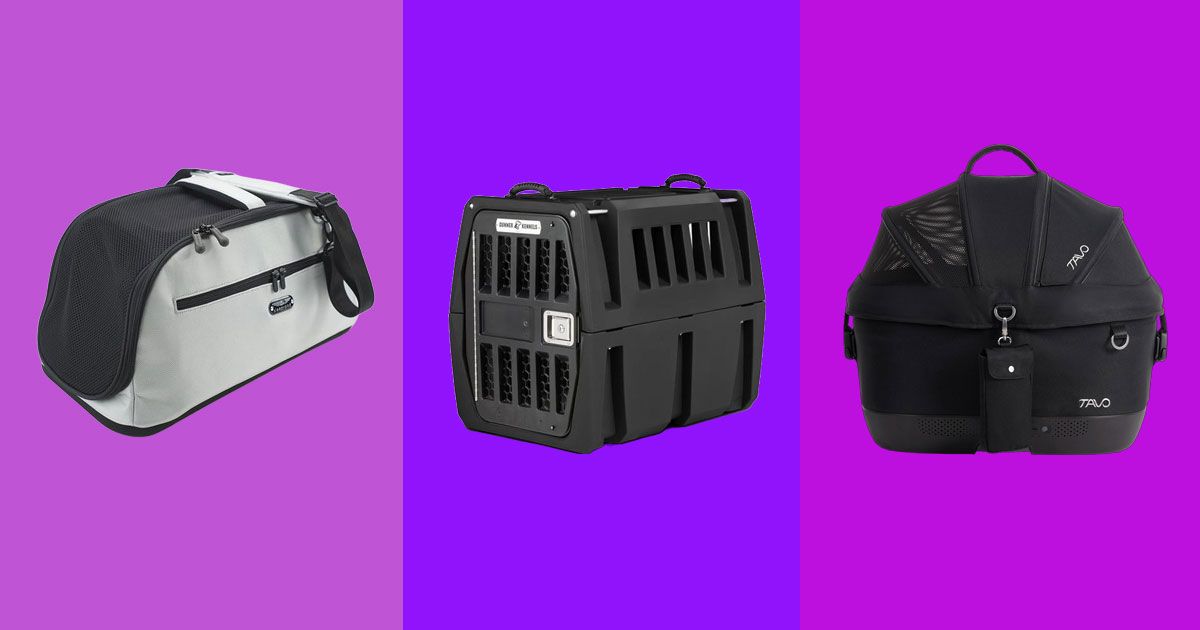 The Very Best Car Seats and Harnesses for Dogs