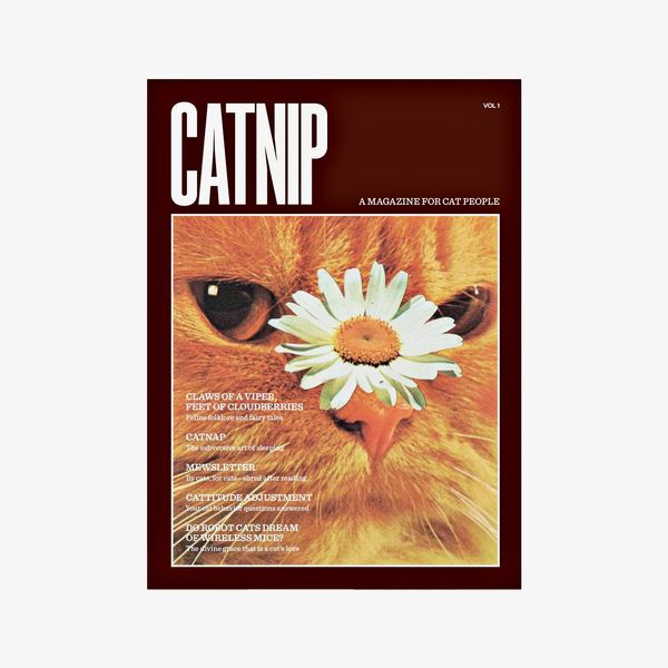 ‘Catnip’ Magazine