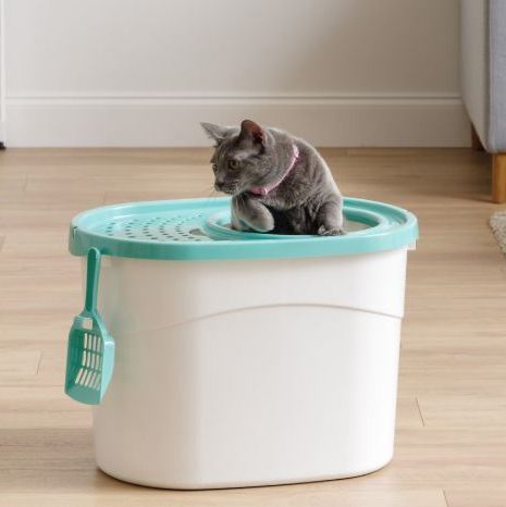 Iris Top-Entry Cat Litter Box & Scoop