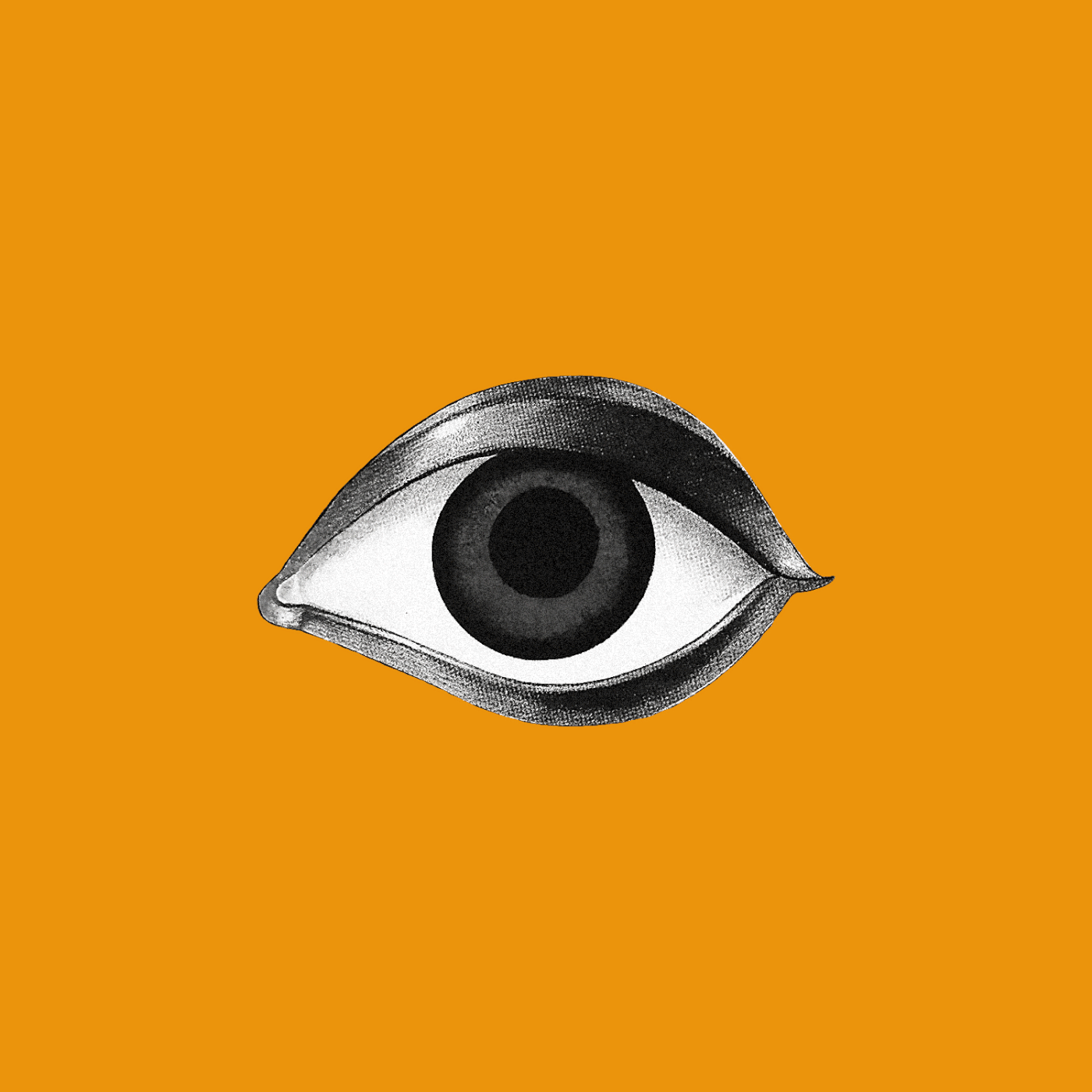 Medium GIF