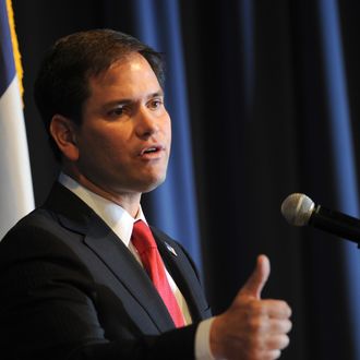 U.S. Sen. Marco Rubio (R-FL) speaks at a combination fundraiser and birthday party for Iowa Gov. Terry Branstad, on November 17, 2012 in Altoona, Iowa. Branstad turned 65 this year.