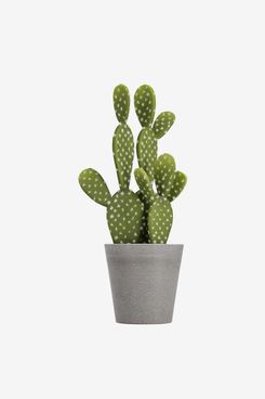 Clas Ohlson Artificial Cactus 