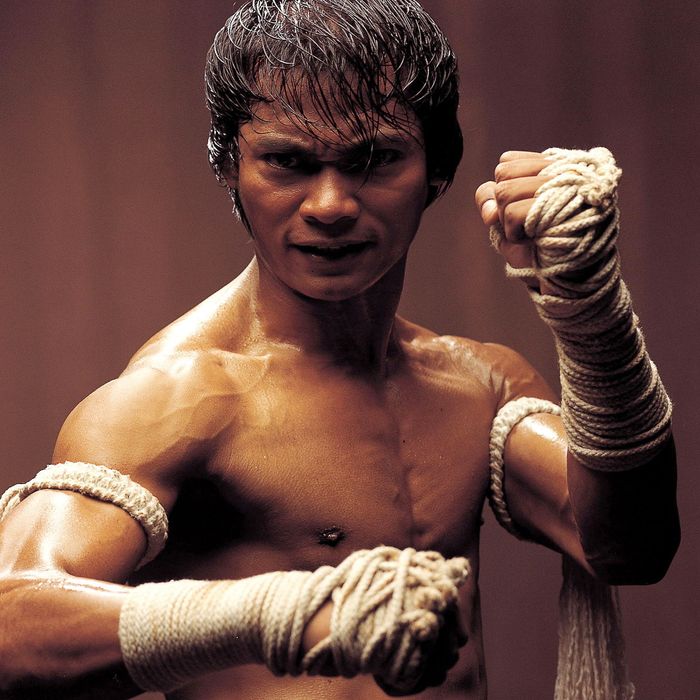 Whatever Happened to Tony Jaa?