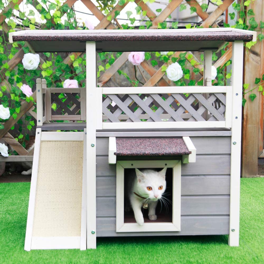 most expensive cat house
