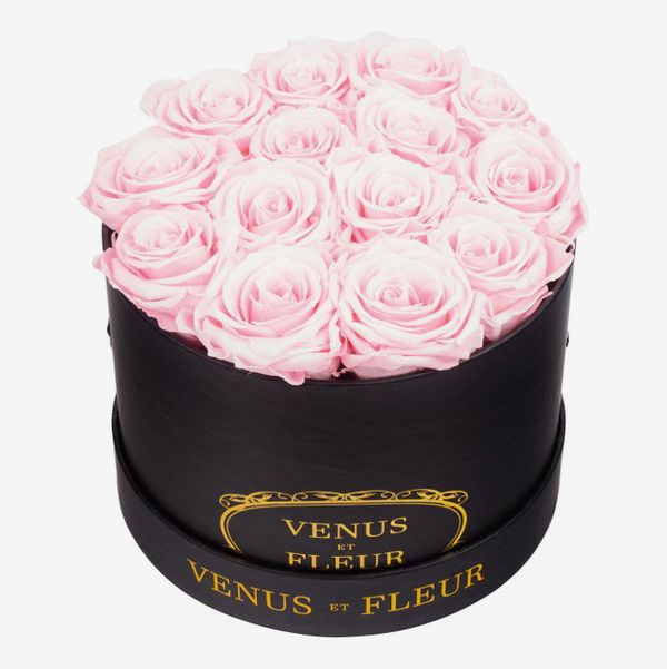 Venus Et Fleur Small Round Eternity Roses