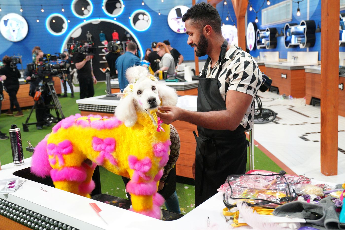 Pooch Perfect and Haute Dog: reviews of the dog grooming reality