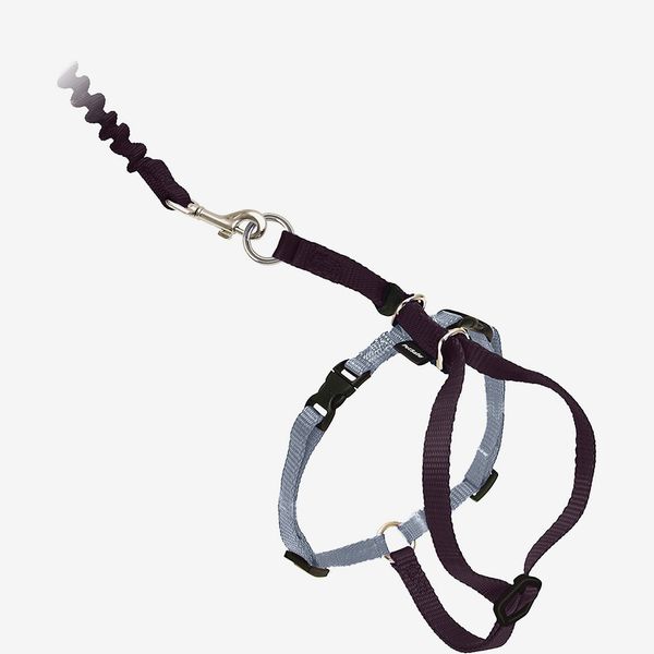 PetSafe Come With Me Kitty Nylon Cat Harness & Leash