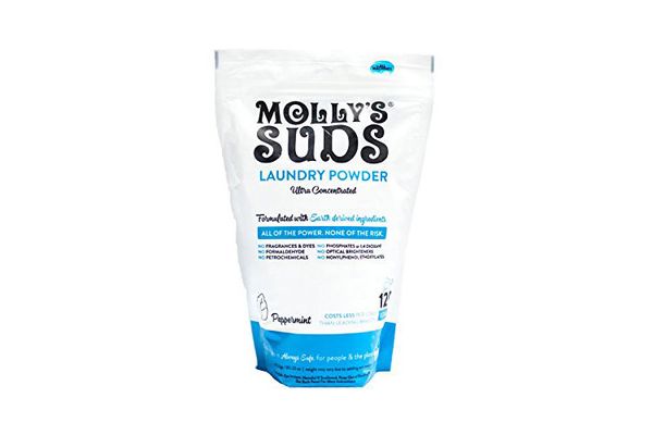 Molly's Suds Swim Liquid Laundry Detergent, 16 fl oz - Foods Co.