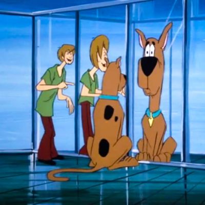 Our New Scooby-Doo!™ Collection Is Here. - Me Undies