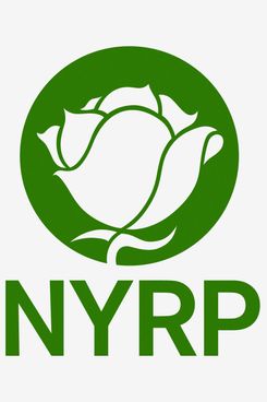 Donation to New York Restoration Project