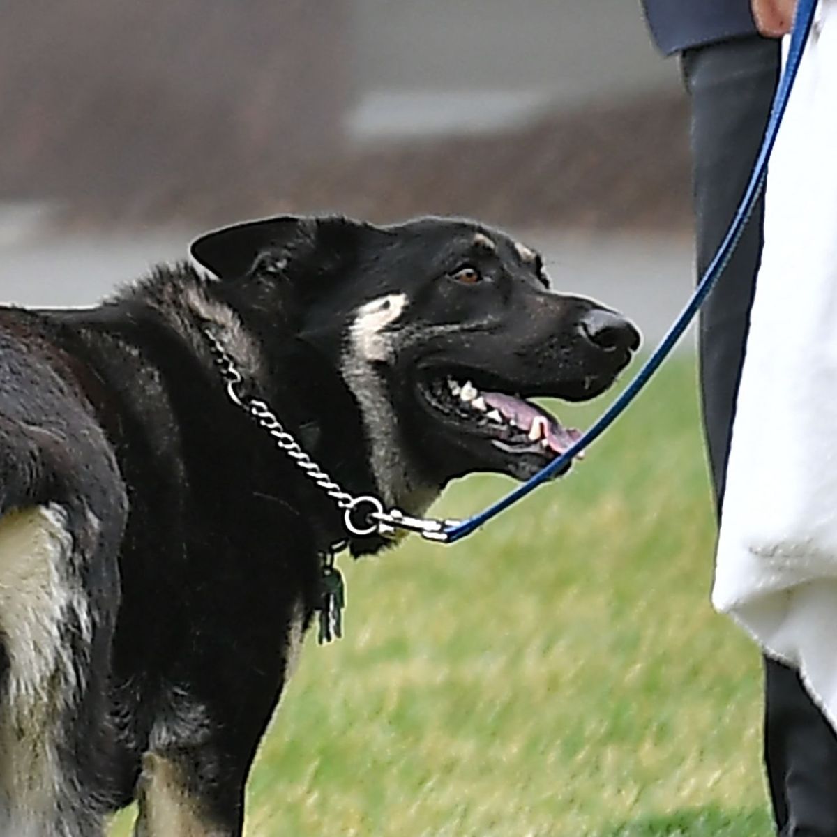 Major Biden Being Sent Away For Off Site Private Training