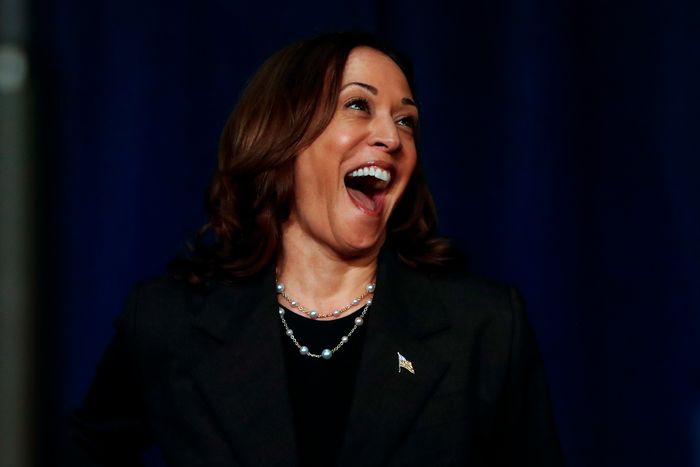 Vice President Harris Holds Campaign Event In Kalamazoo, Michigan