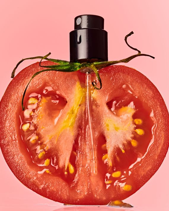 https://pyxis.nymag.com/v1/imgs/7b9/0b4/83388ea2d5ab8d92207660d3e3ff757568-tomato-perfume.rvertical.w570.jpg