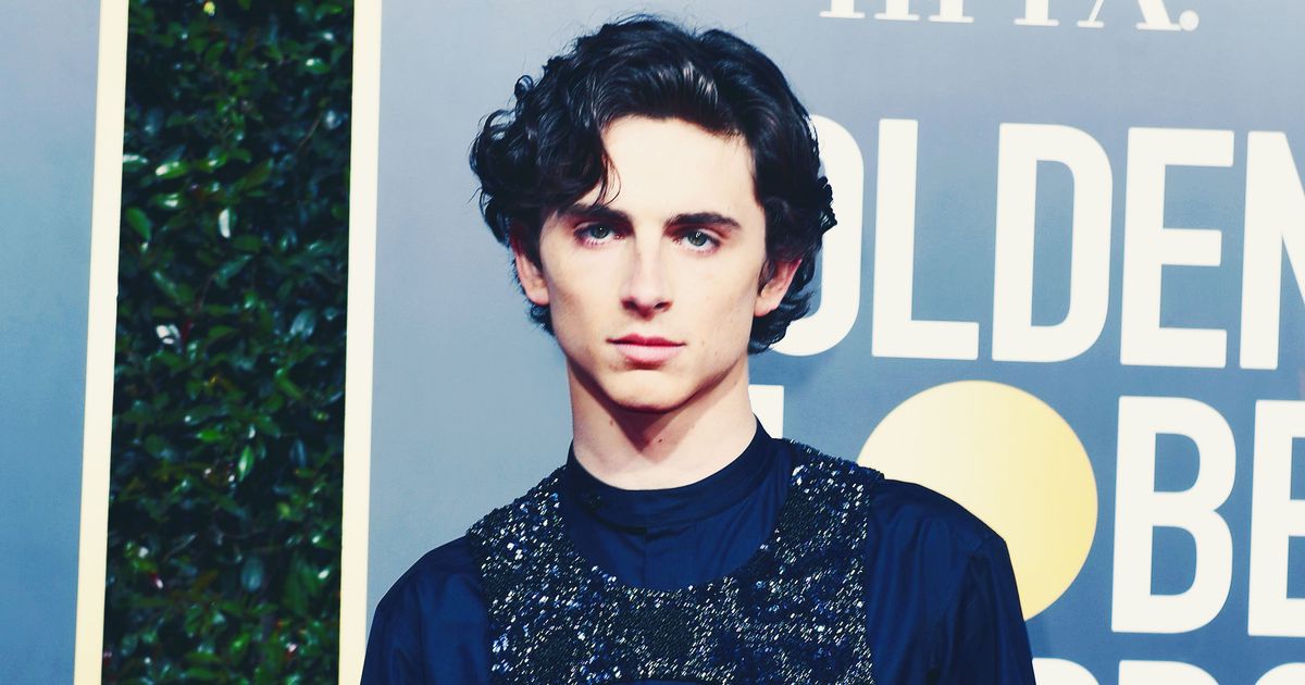 Be Inspired By Timothée Chalamet's Golden Globes Harness