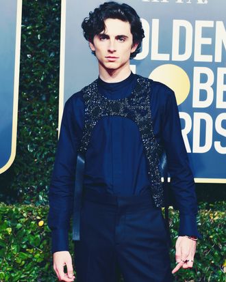 Timothée Chalamet Golden Globes 2019 Look