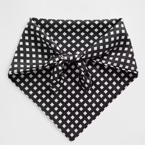 Gap Silk Bandana