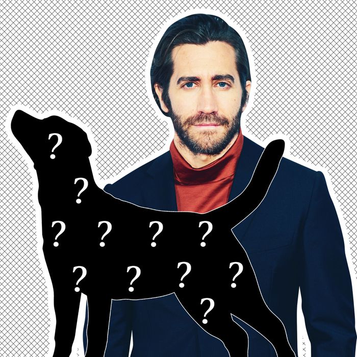 Jake Gyllenhaal Rescued A Dalmatian Or Did He