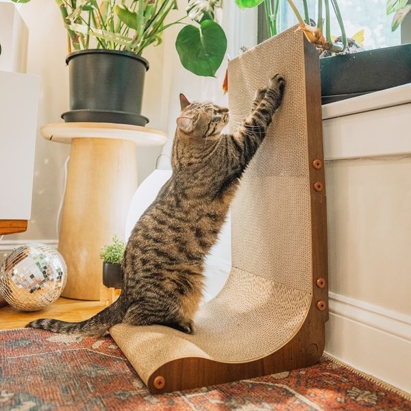 Necoichi Premium Comfort Cat Scratcher