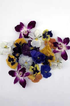 Freshly Preserved Freeze-Dried Edible Flowers