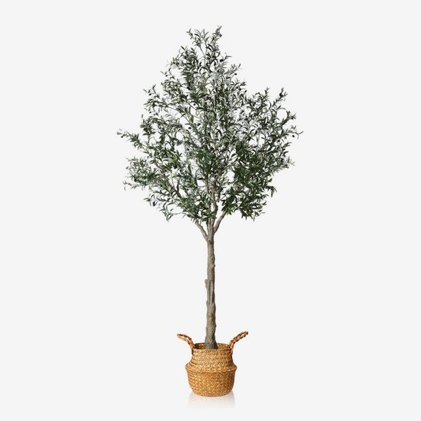 Primrue Adcock 118” Faux Olive Tree Plant in Rattan Basket