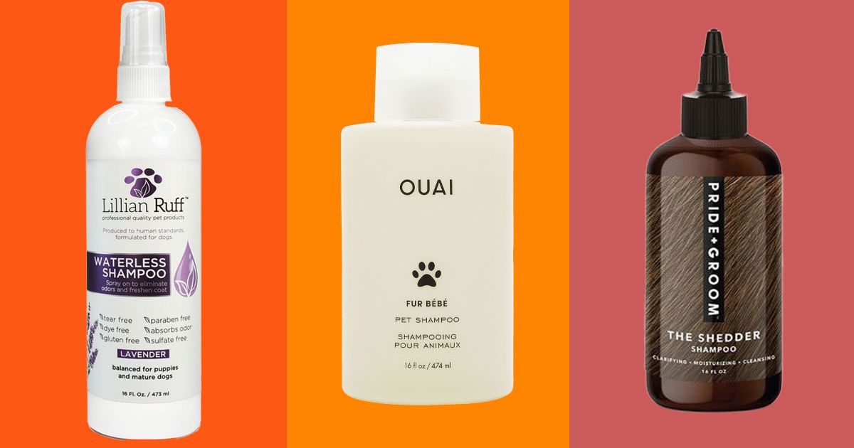 12 Best Dog Shampoos The Strategist