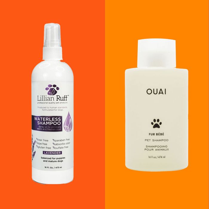 what is the best puppy shampoo to use