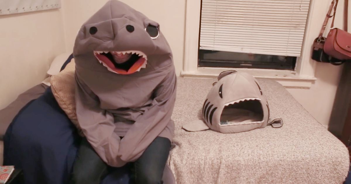 Owner Dresses Up As Cat's Toy Shark Like Dog and Gumby Vid