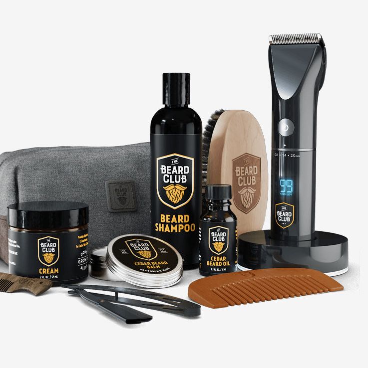 cheap beard grooming kit