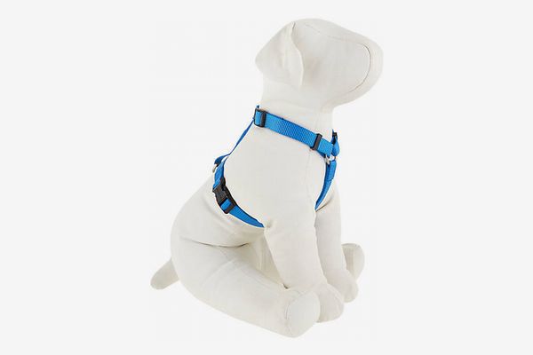 Top Paw Signature Dog Harness
