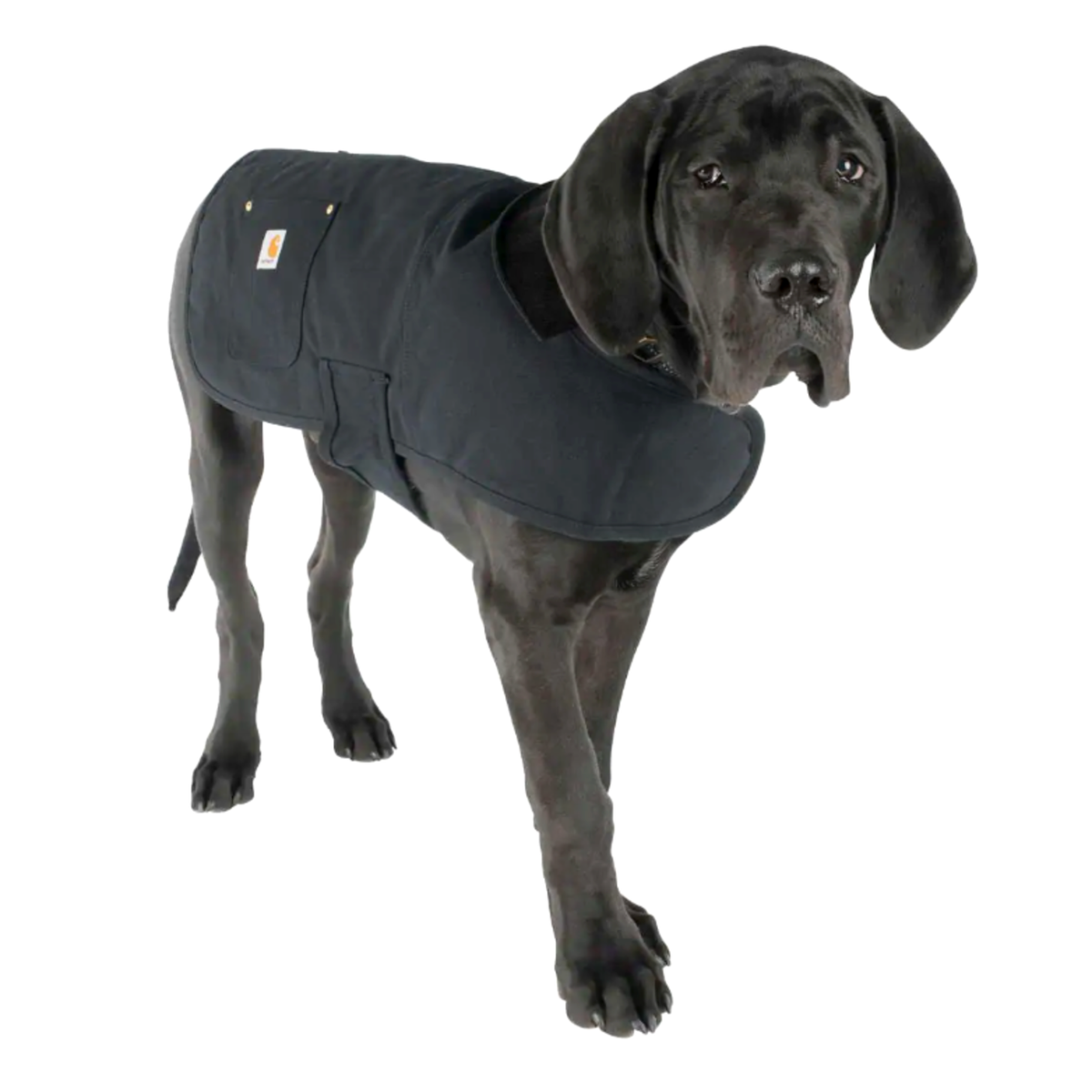 Dogs will Thank You! Lightweight Warmth In World LovinPet 2022 NEW Small Large Dog Warm Coat/Sweater/Jacket Alternative Double-sided Fleece Dog Does Not Get Tired for Outdoors&Home&Party Wearing 
