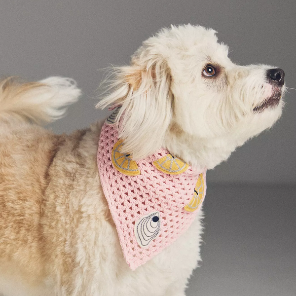 By Anthropologie Crochet Pet Bandana