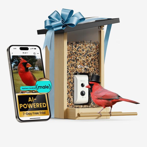 Birdfy Smart Bird Feeder with Camera, Bird Watching Camera with Solar Panel